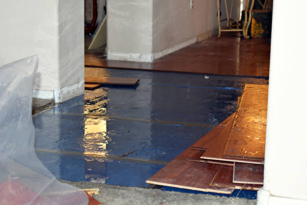 Professional Sewage Cleanup technician working in Lake City, IA